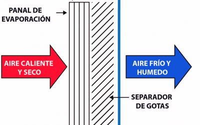 El verano está a la vuelta de la esquina! ¿Cómo hacer frente al calor?