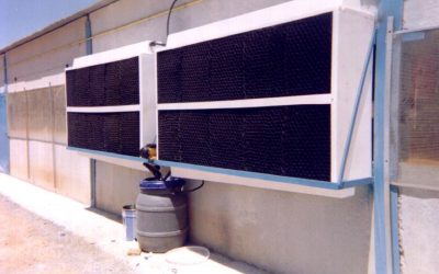 Refrigeración evaporativa en ganadería: eficiencia, bienestar y adaptación al cambio climático