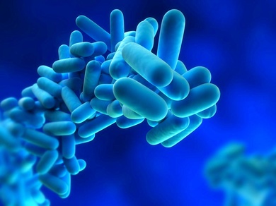The XV Congress of Environmental Health focuses on the prevention and control of Legionella