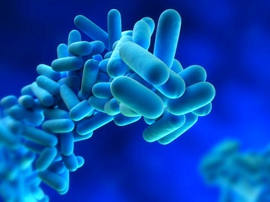 New Royal Decree for the control of legionella (RD 487/2022)